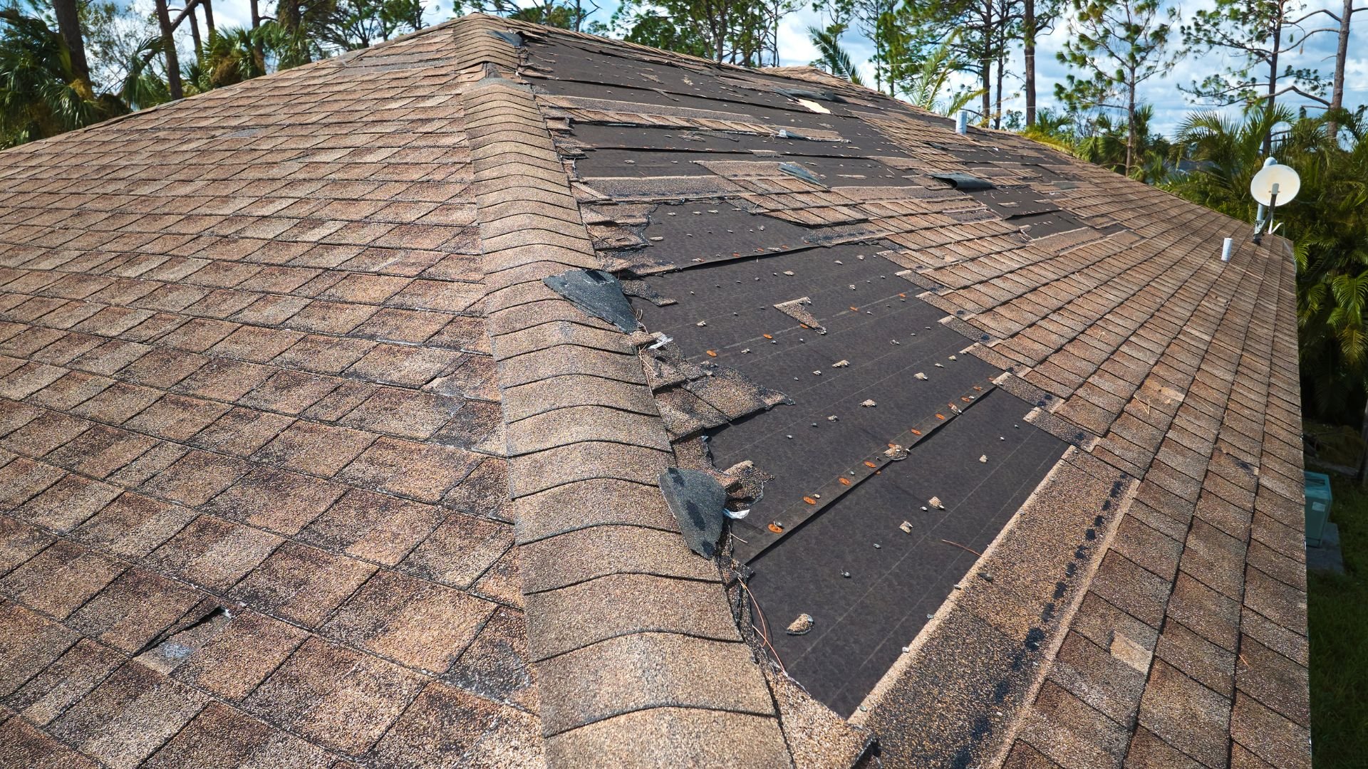 Damaged roof with missing and torn shingles, revealing black underlayment
